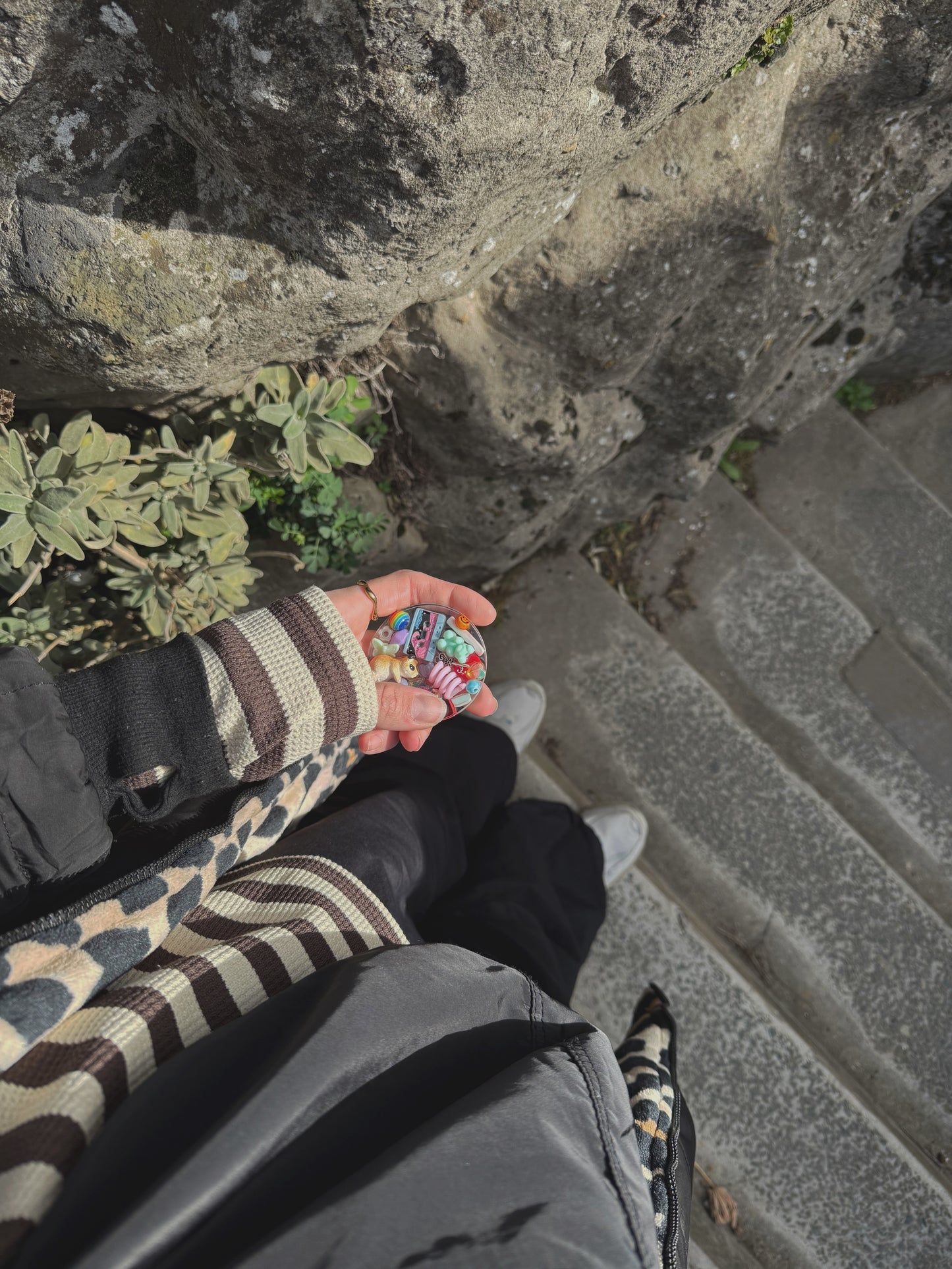 Mini tinker: rainbow hamster 22