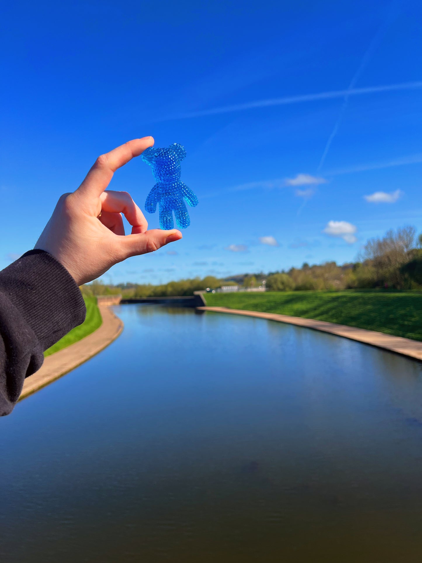 Jagger bear: water drop