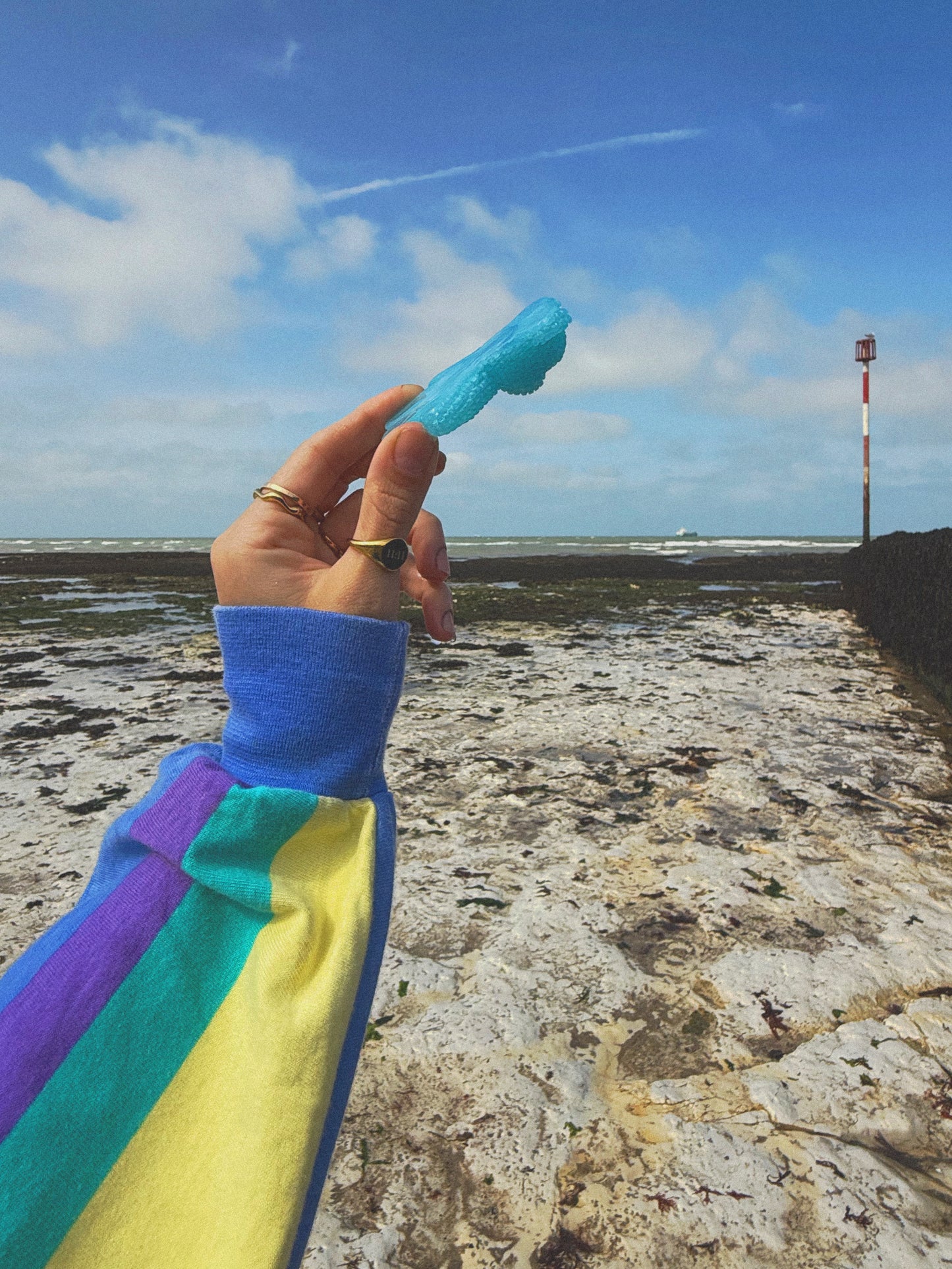 Jagger bear: ocean blue