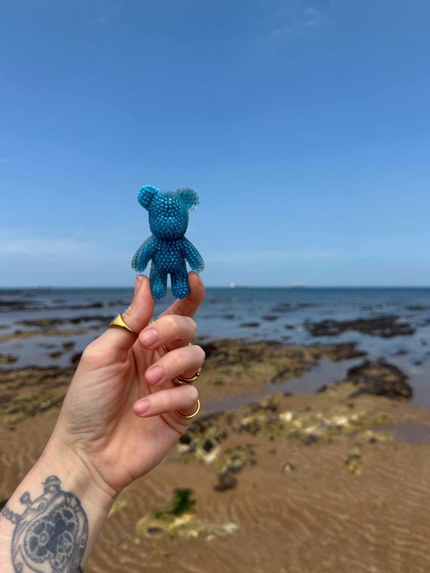 Jagger bear: glow in the dark shells 85