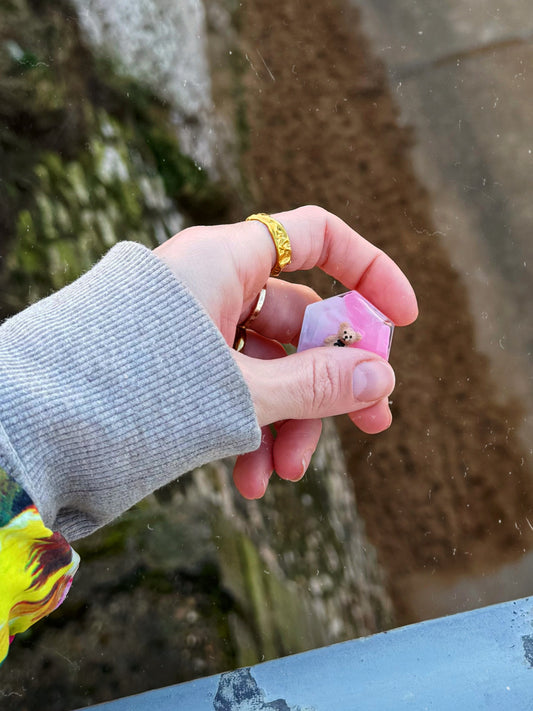 Mini hexagon: pink teddy