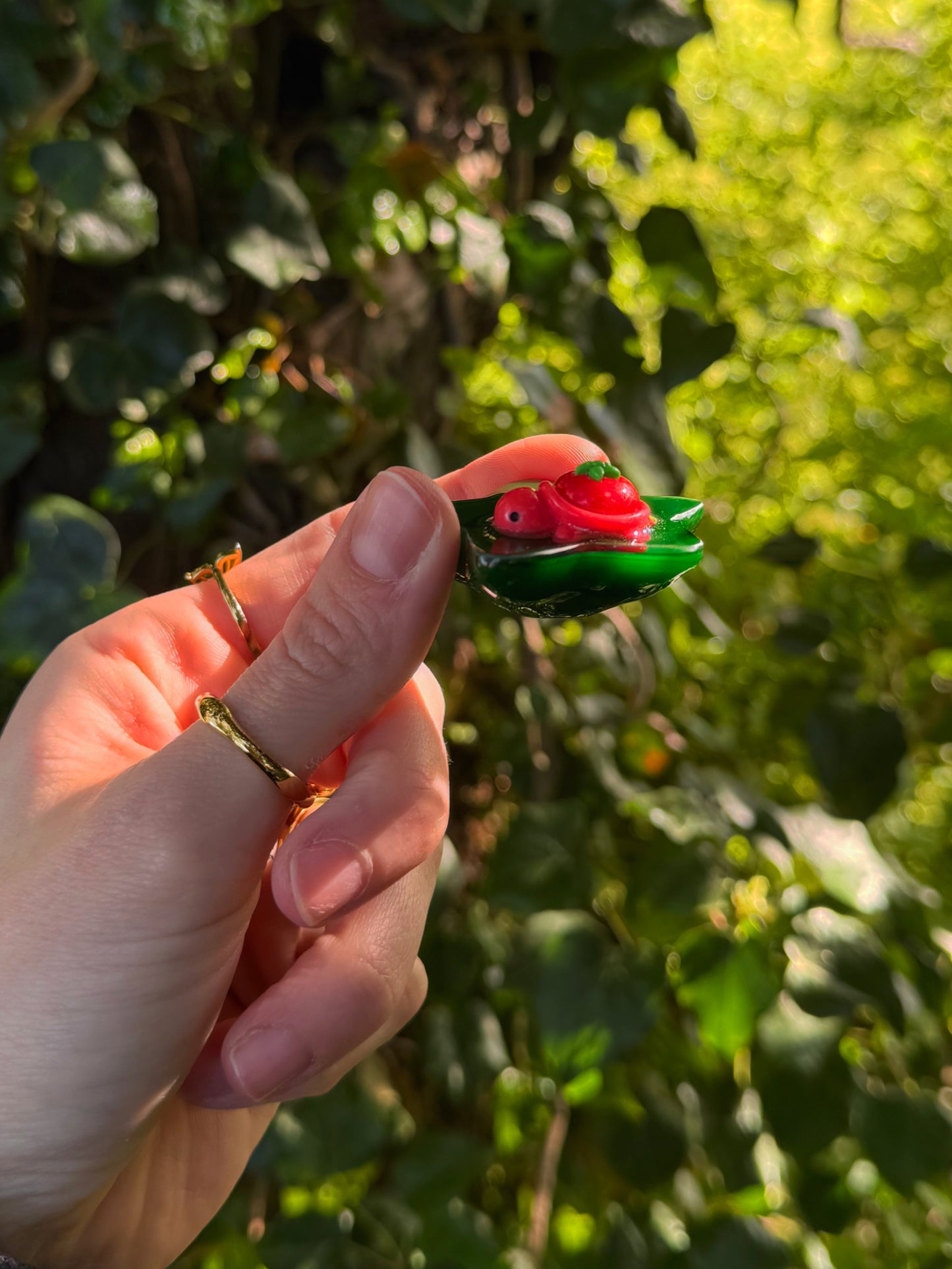Tomato tortoise water star