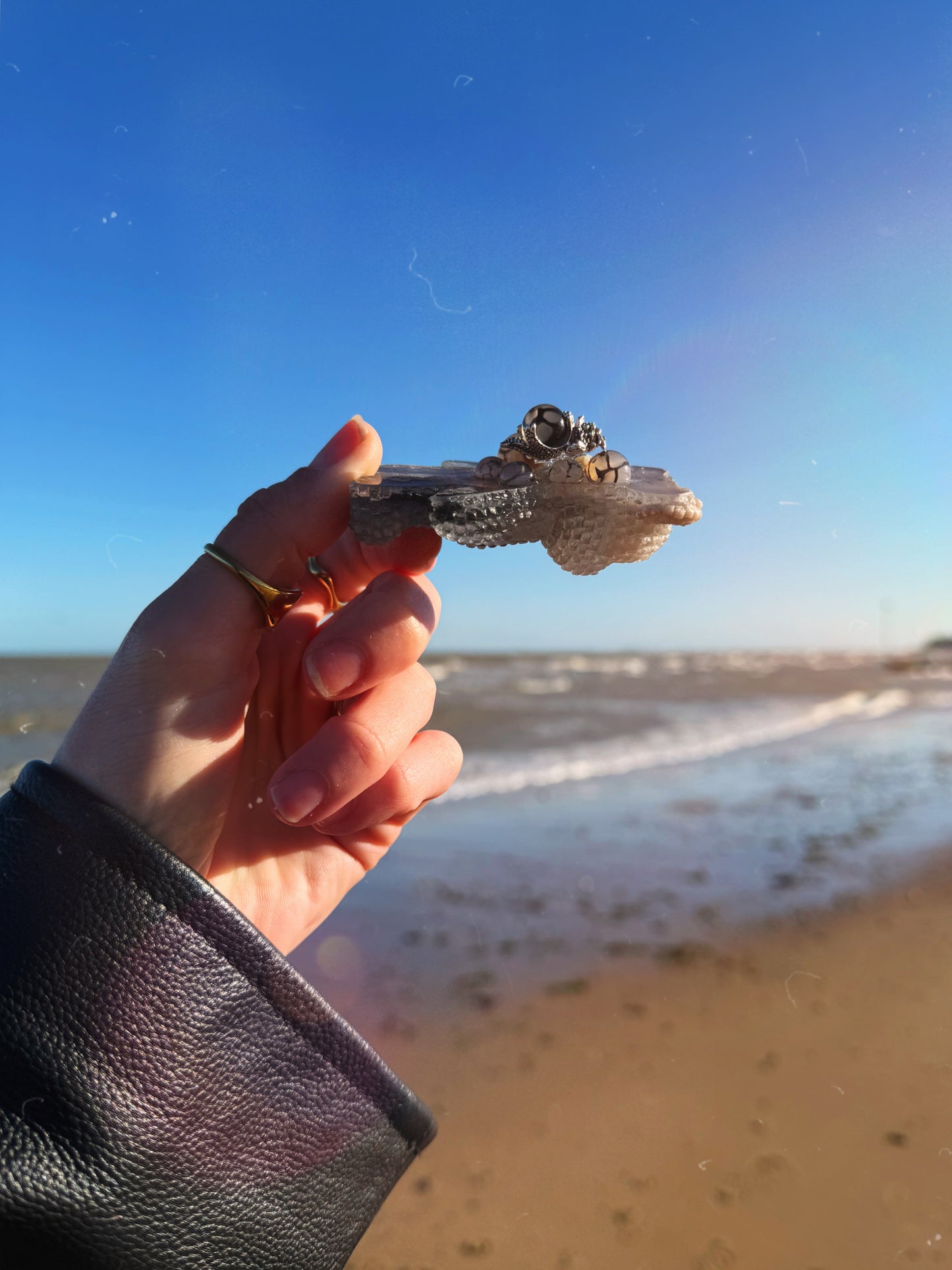 Jagger bear: rolly dragon babe 161