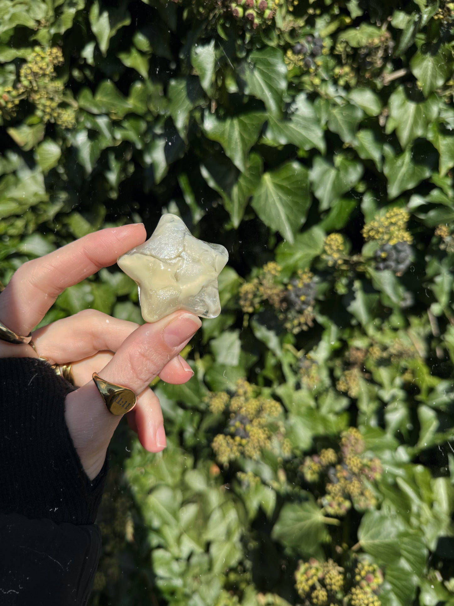 Water star: black cat 156