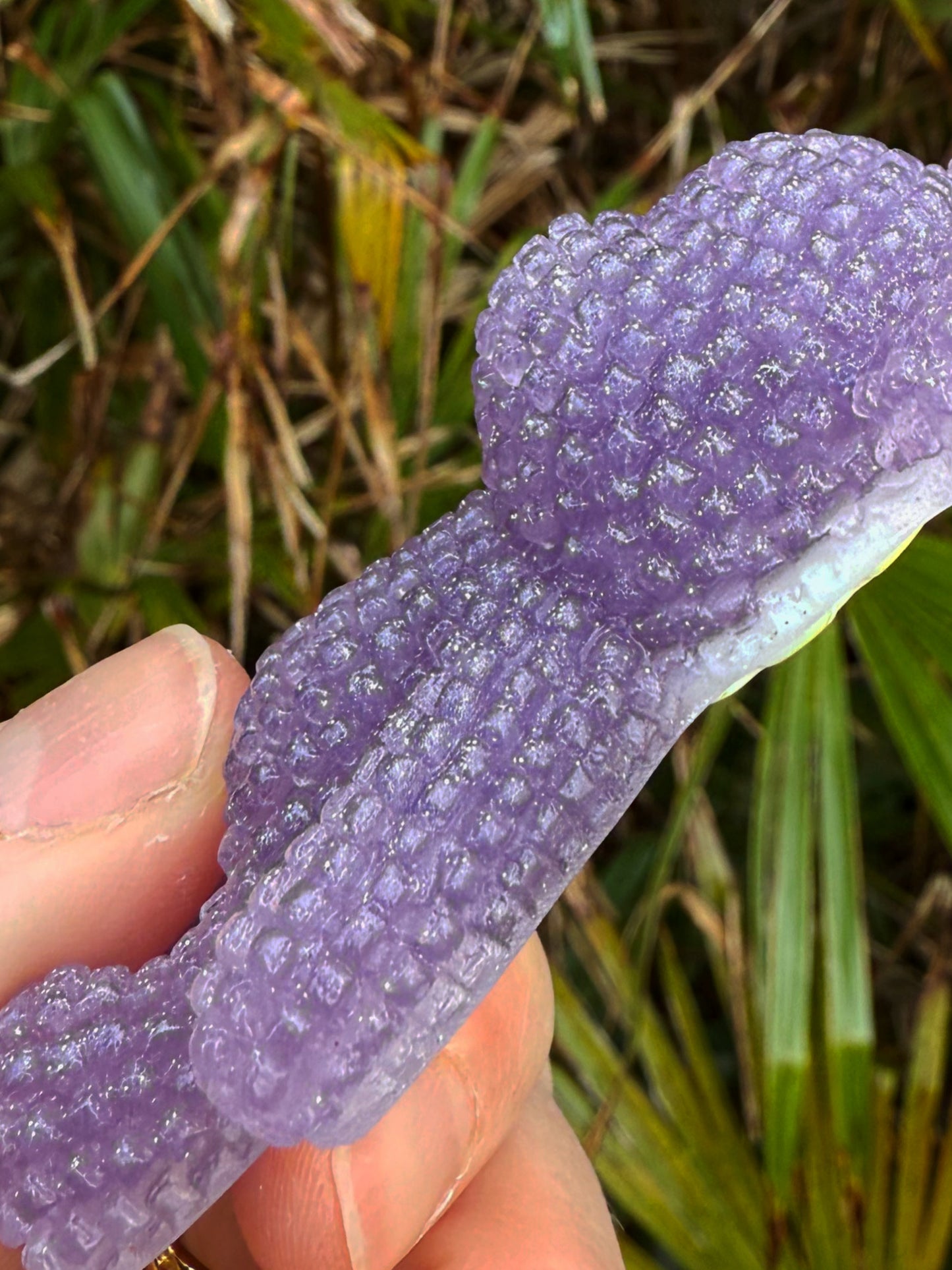 Jagger bear: purple crescent