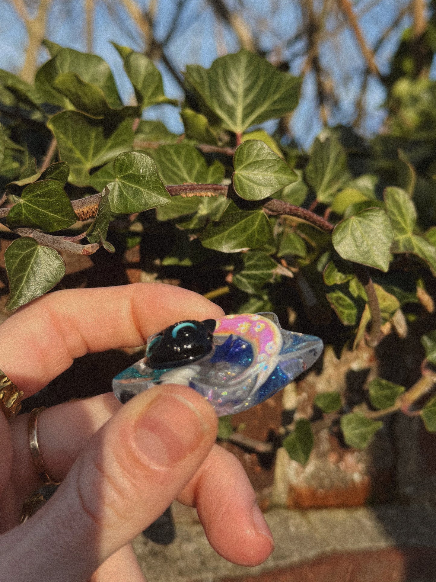 Cat and the moon water star