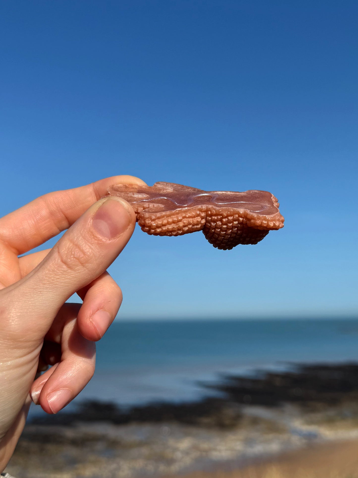 Jagger bear: clean girl baddie