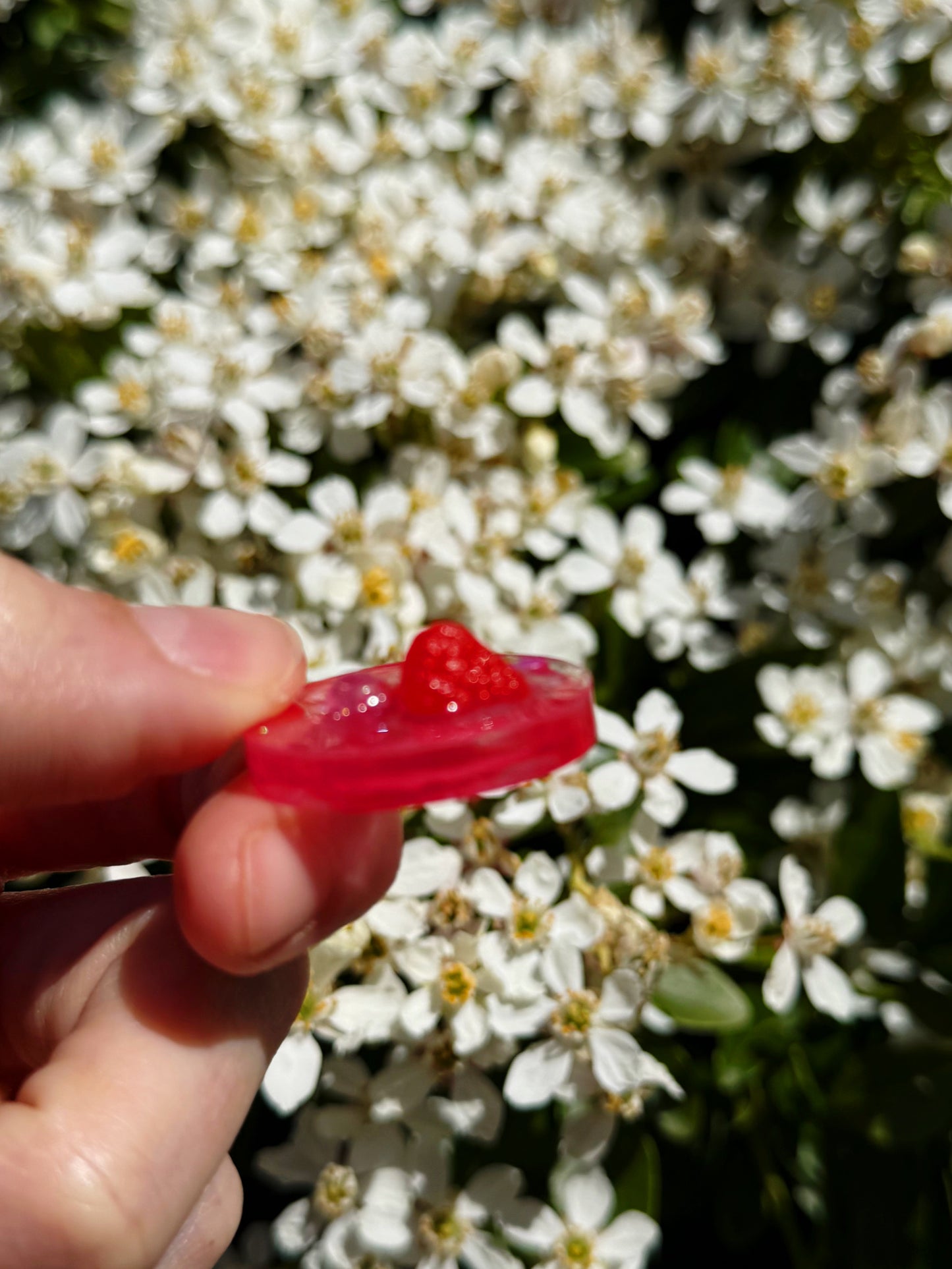 Raspberry micro orb