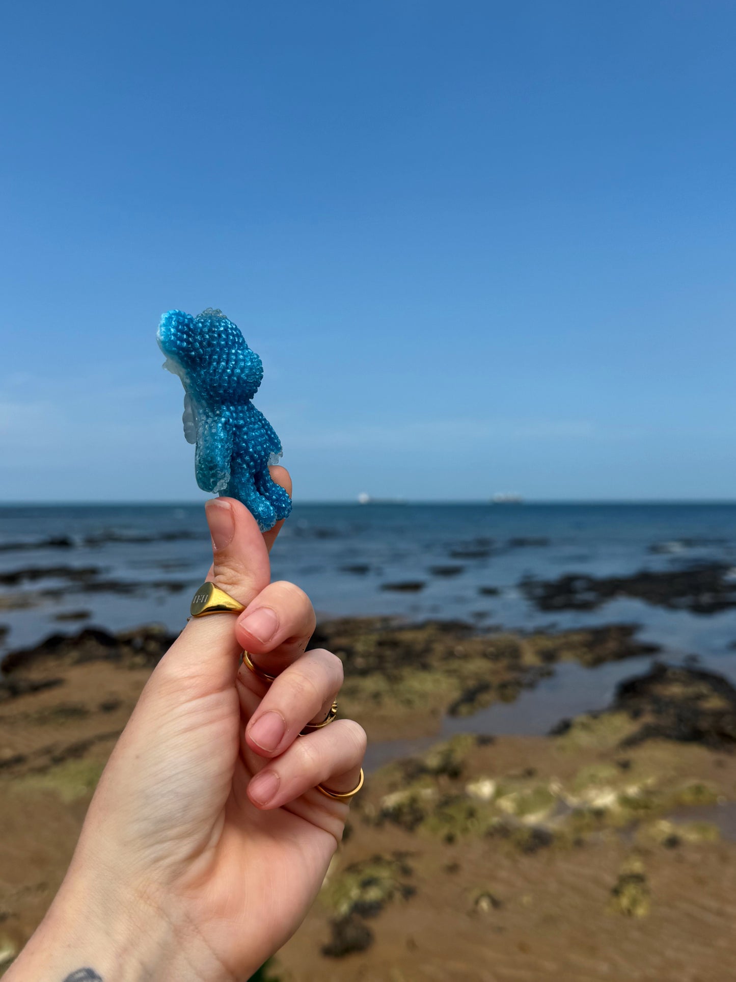 Jagger bear: glow in the dark shells 85
