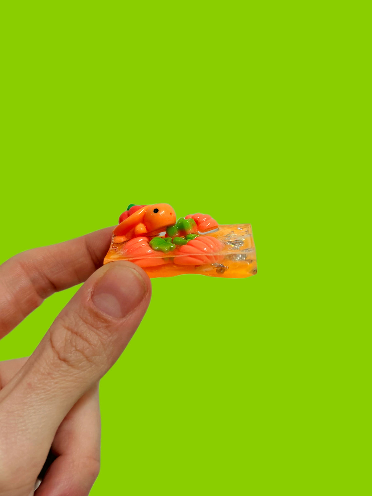 Pumpkin tortoise rectangle wave