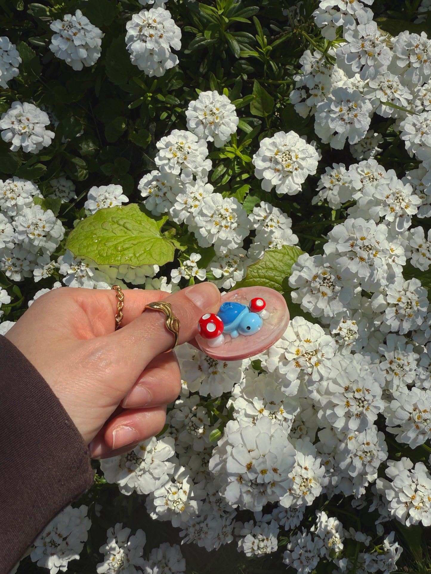 Blueberries & toadstools orb