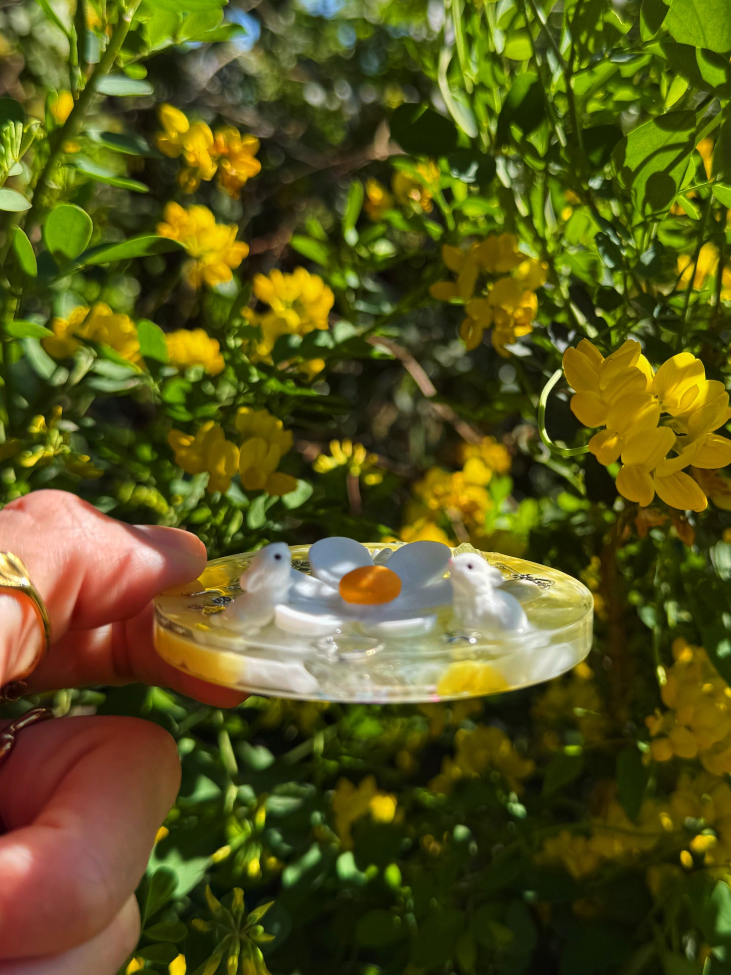Big small ripple: yellow sunshine