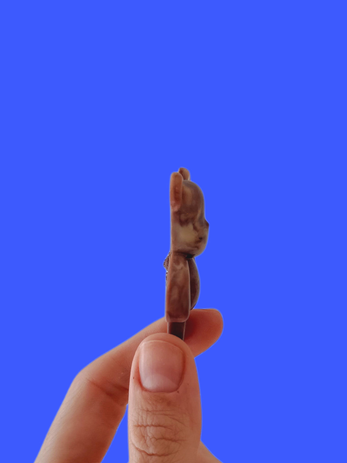 Little chocolate worry bear