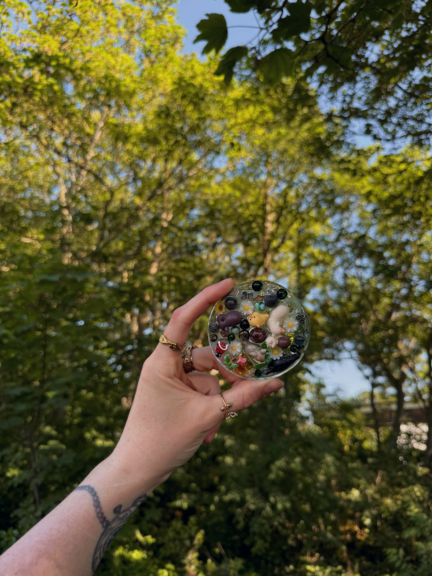 Natures besties circle tinker