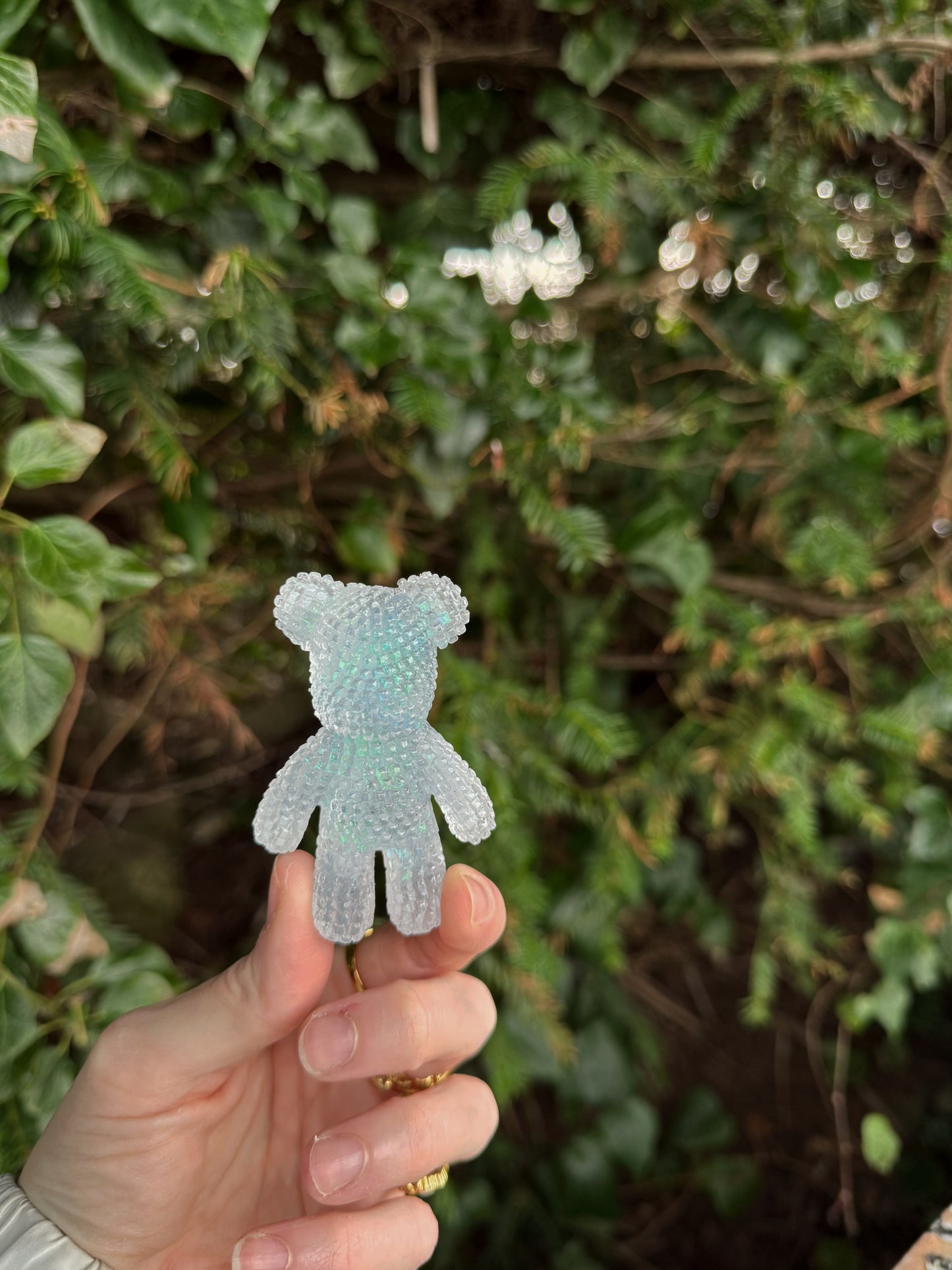 Jagger bear: dragon eye