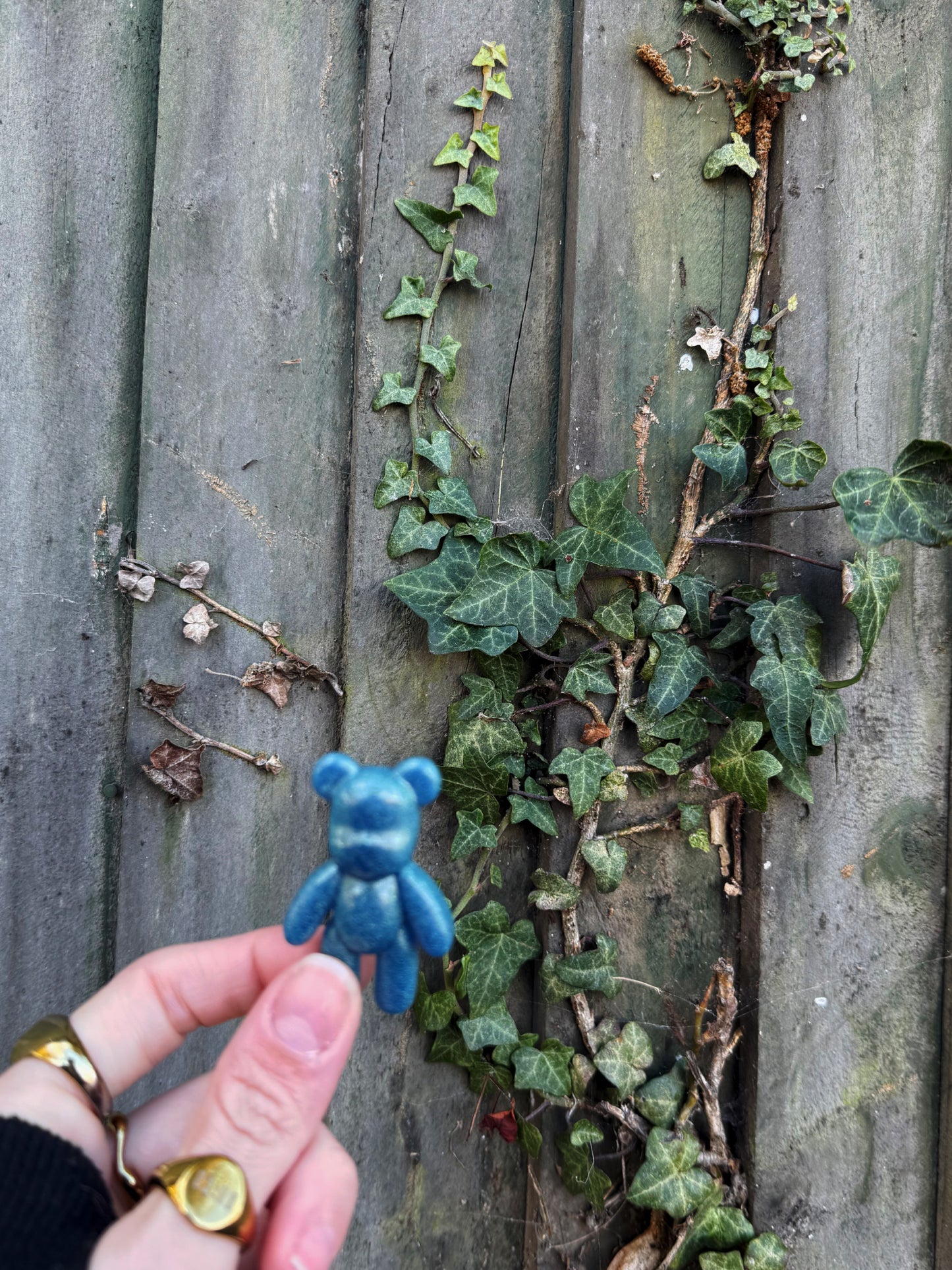 Worry bear: electric blue 142