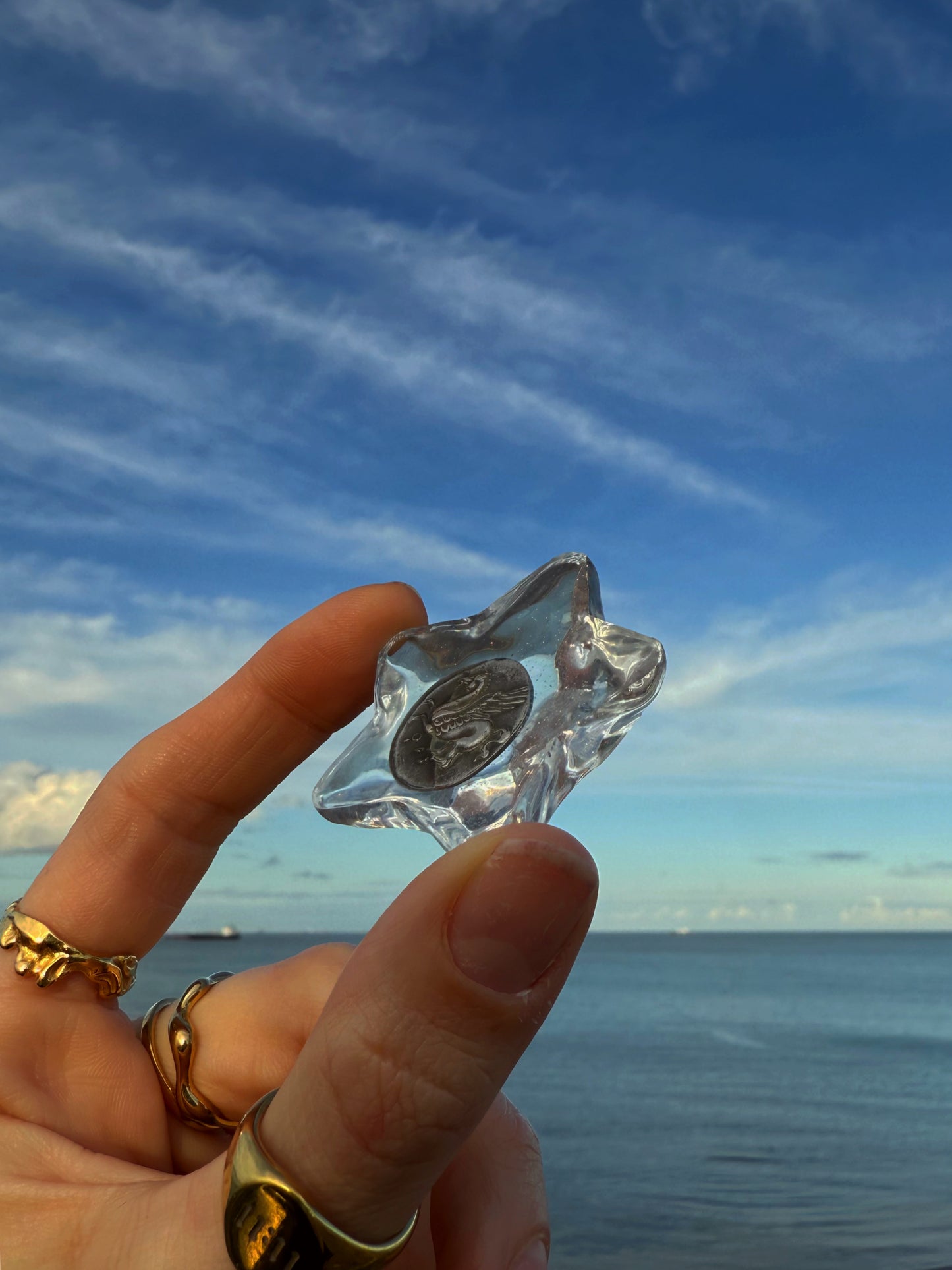 Water star: the Pegasus coin 155