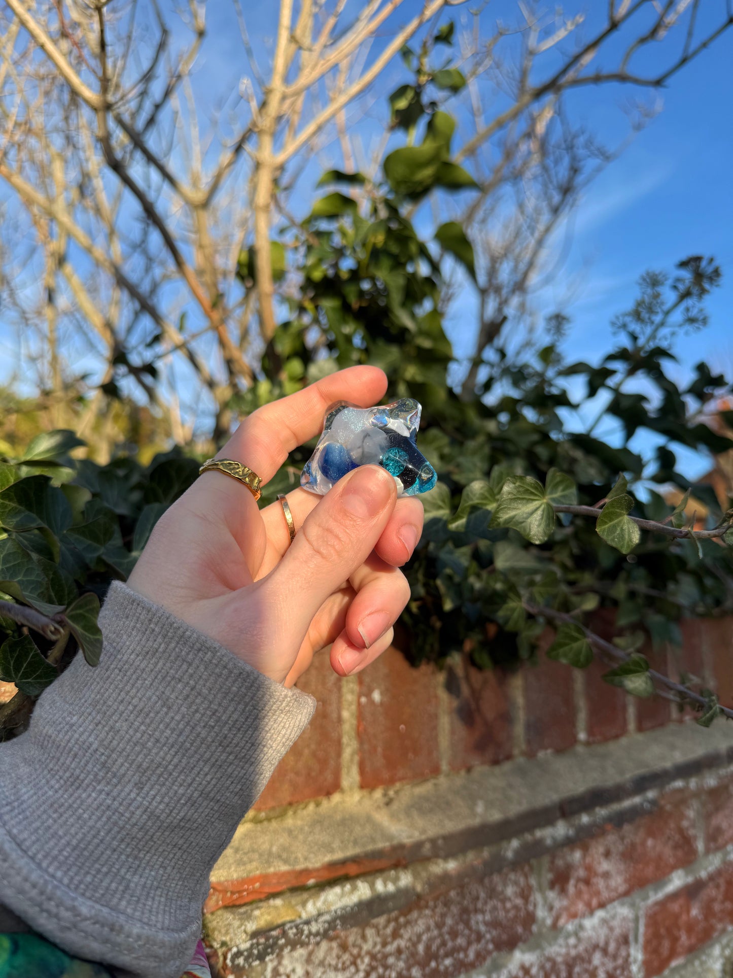 Cat and the moon water star