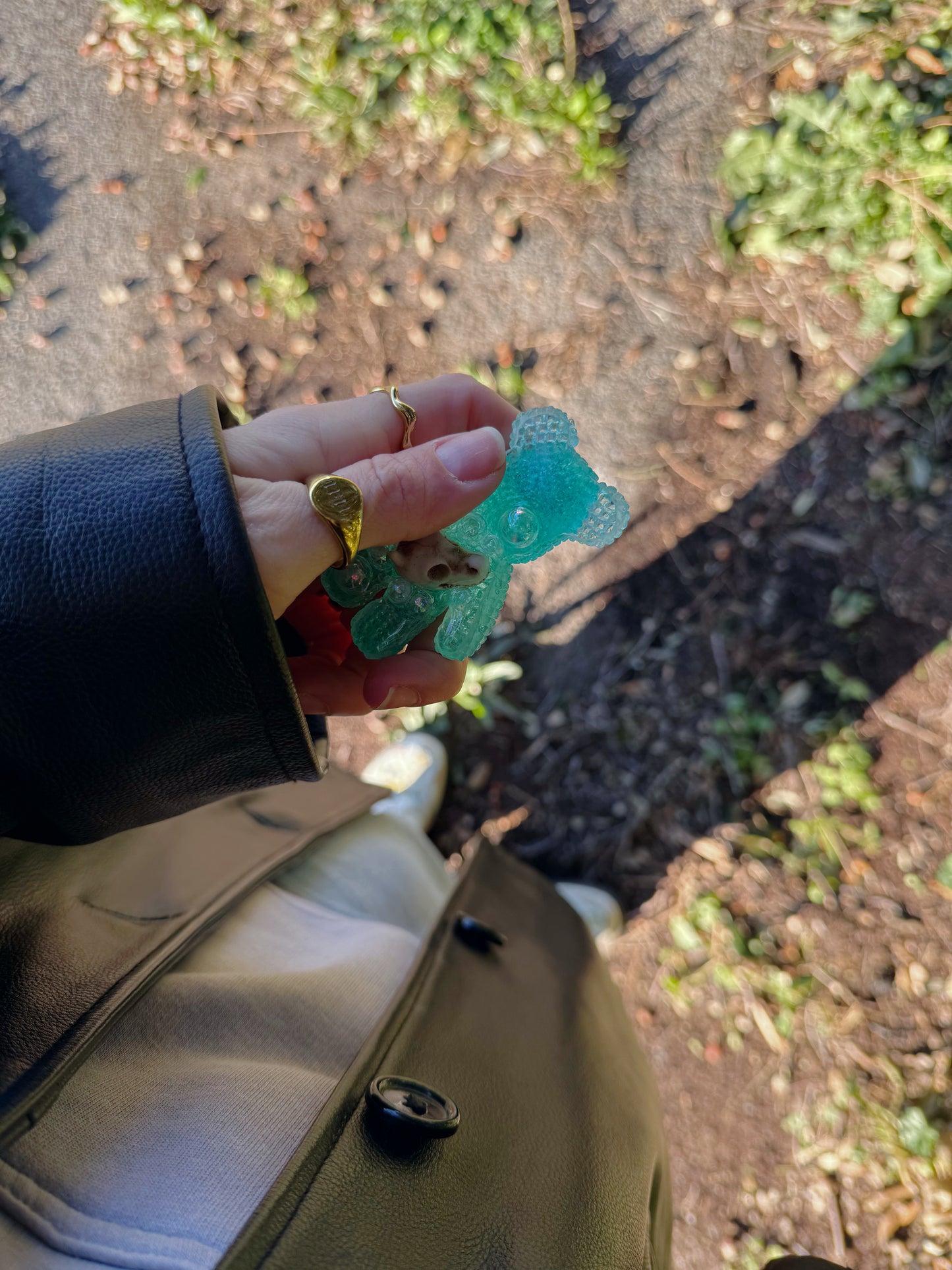 Jagger bear: Dragon skull 170