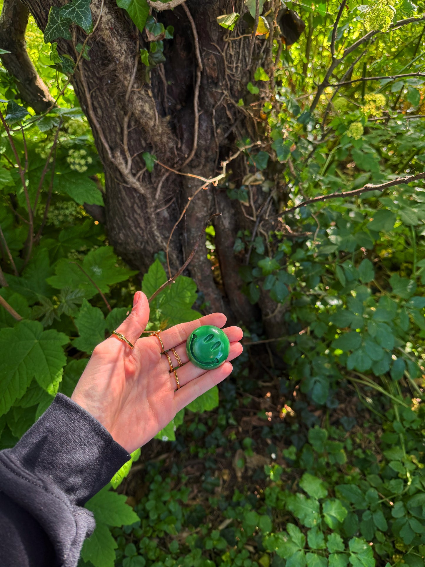 Fairy garden smile finder