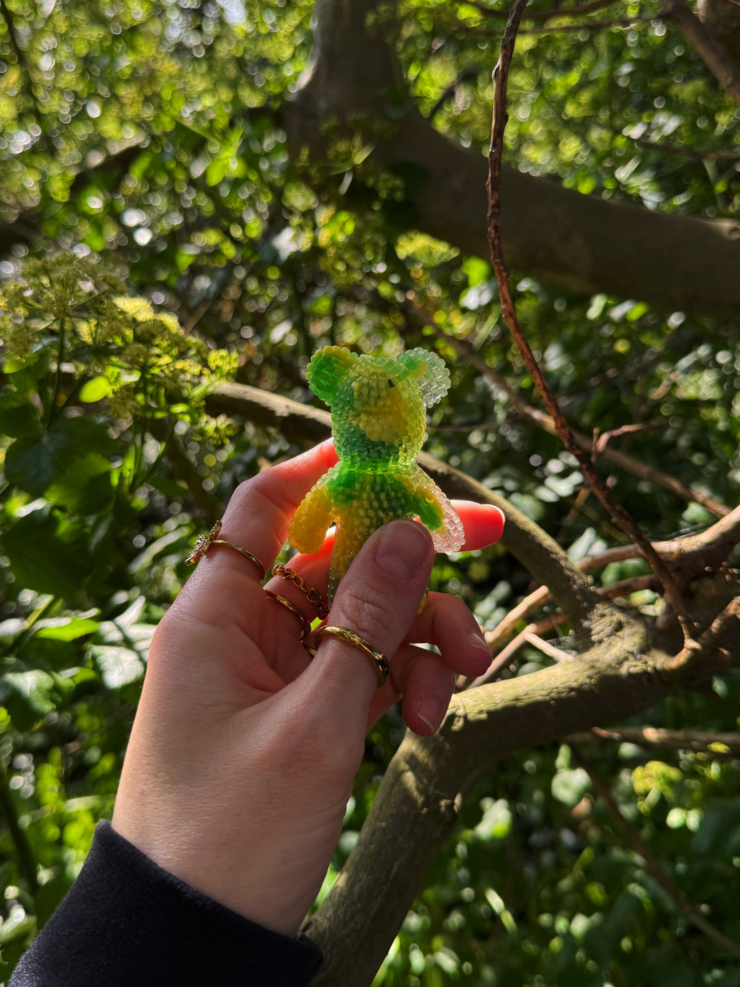 Jagger bear: happy chick