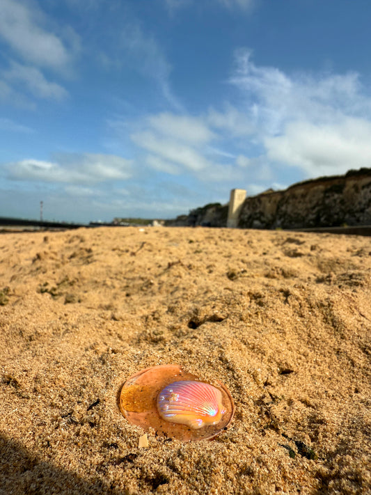 The orb: orange shell