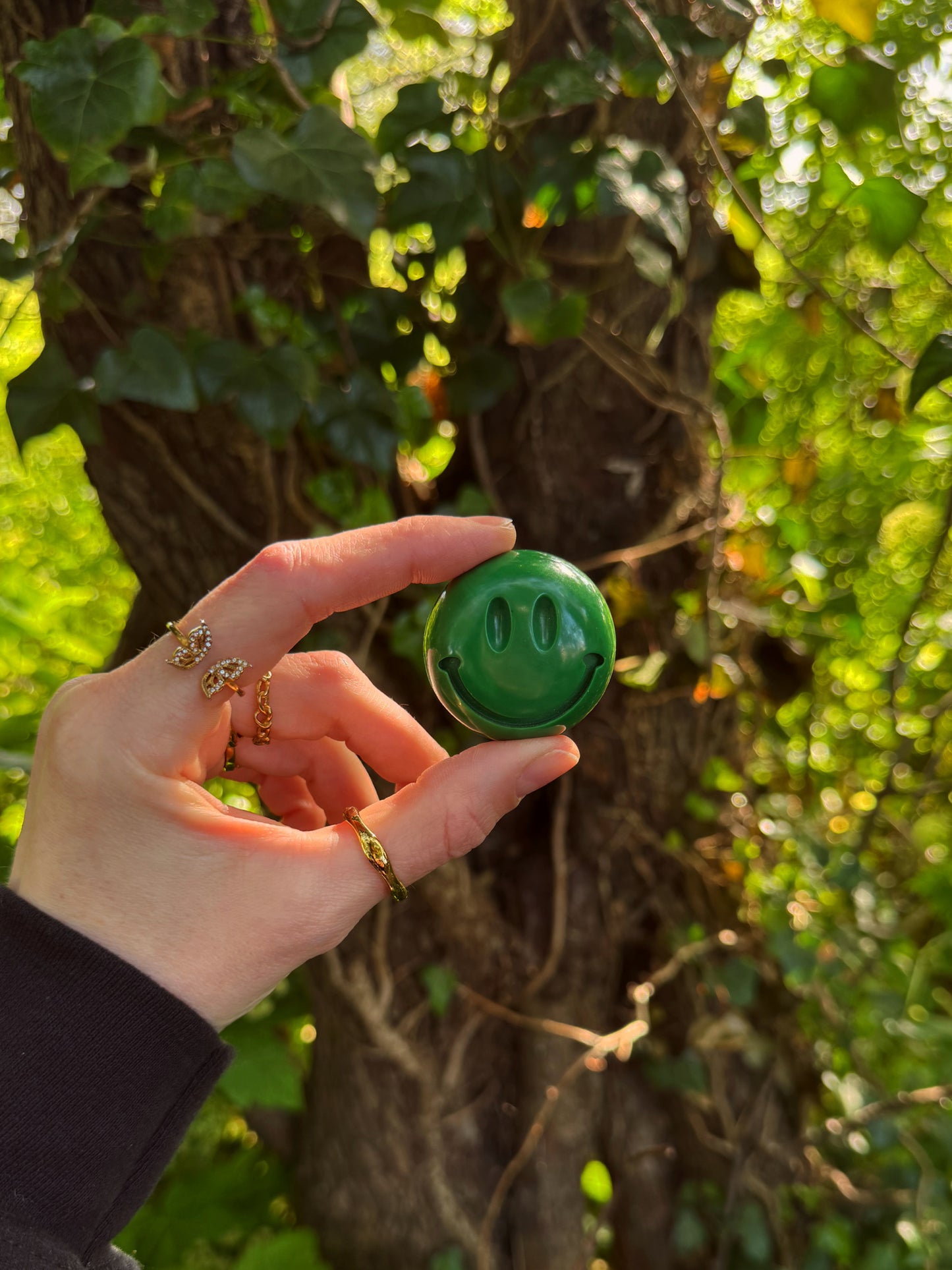 Fairy garden smile finder