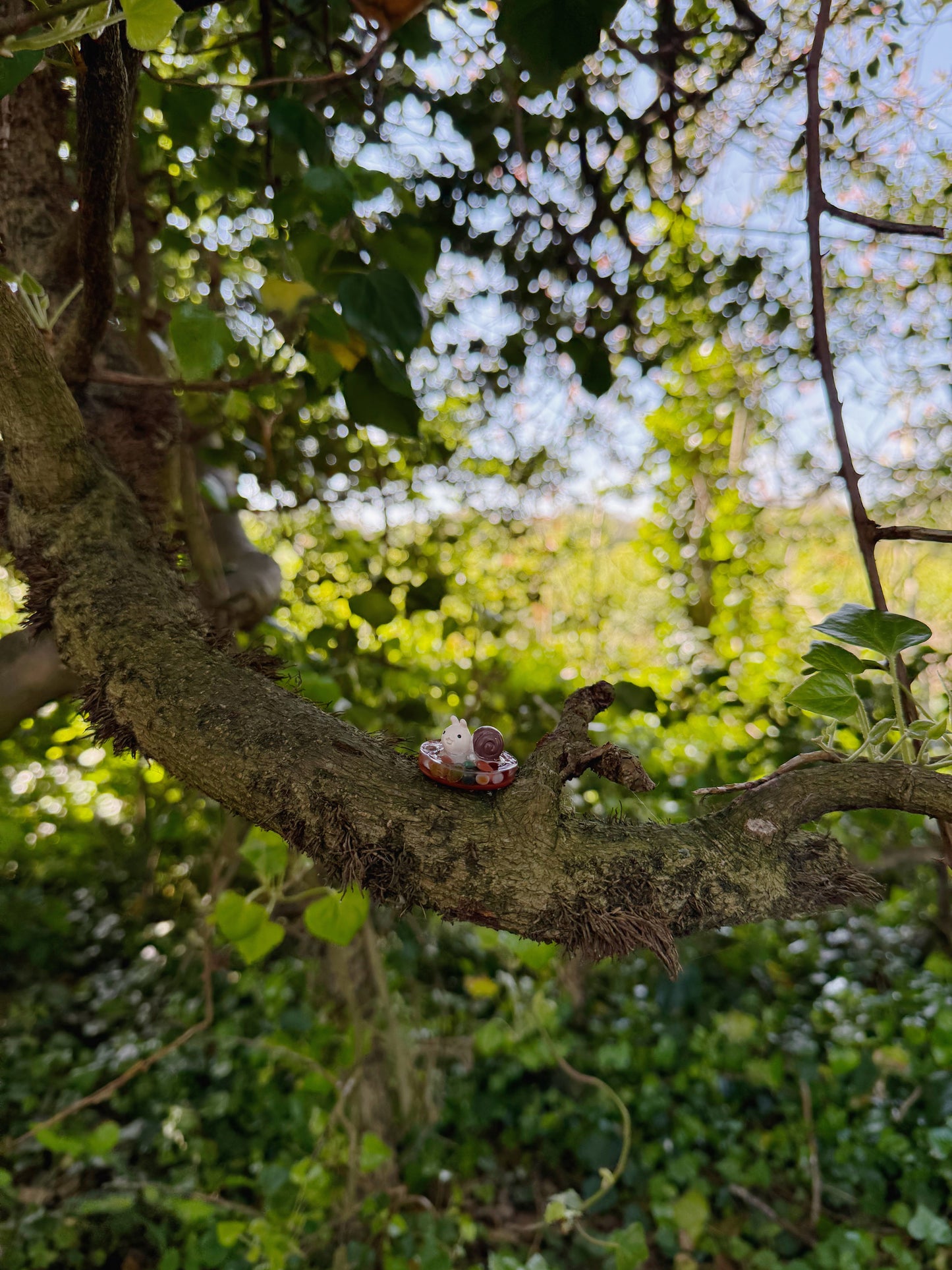 Mini snail orb