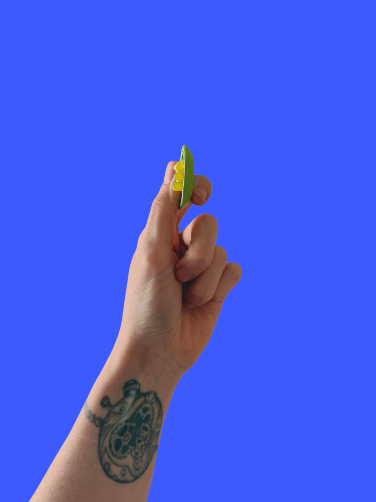 Little lime slice