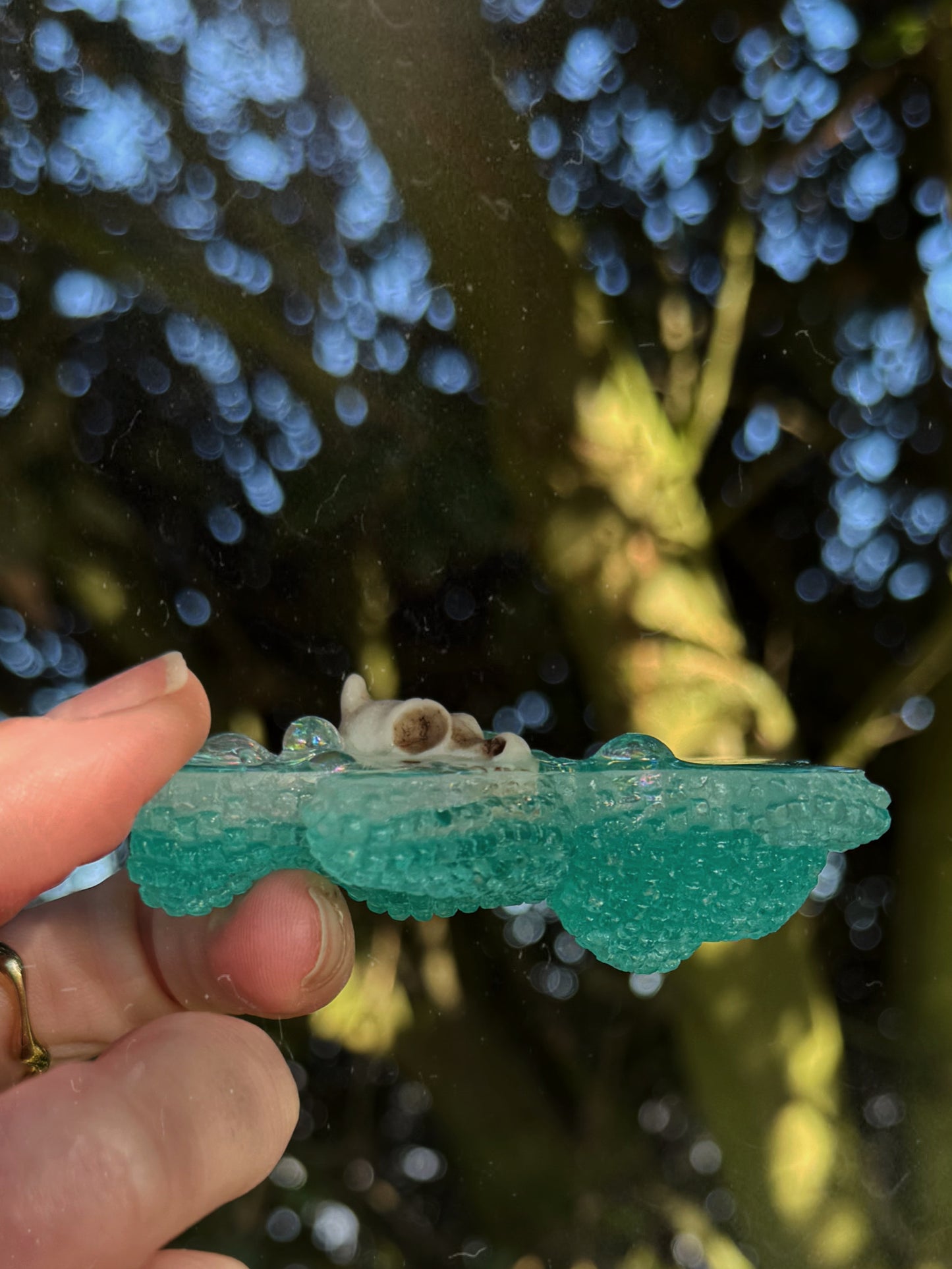 Jagger bear: Dragon skull 170