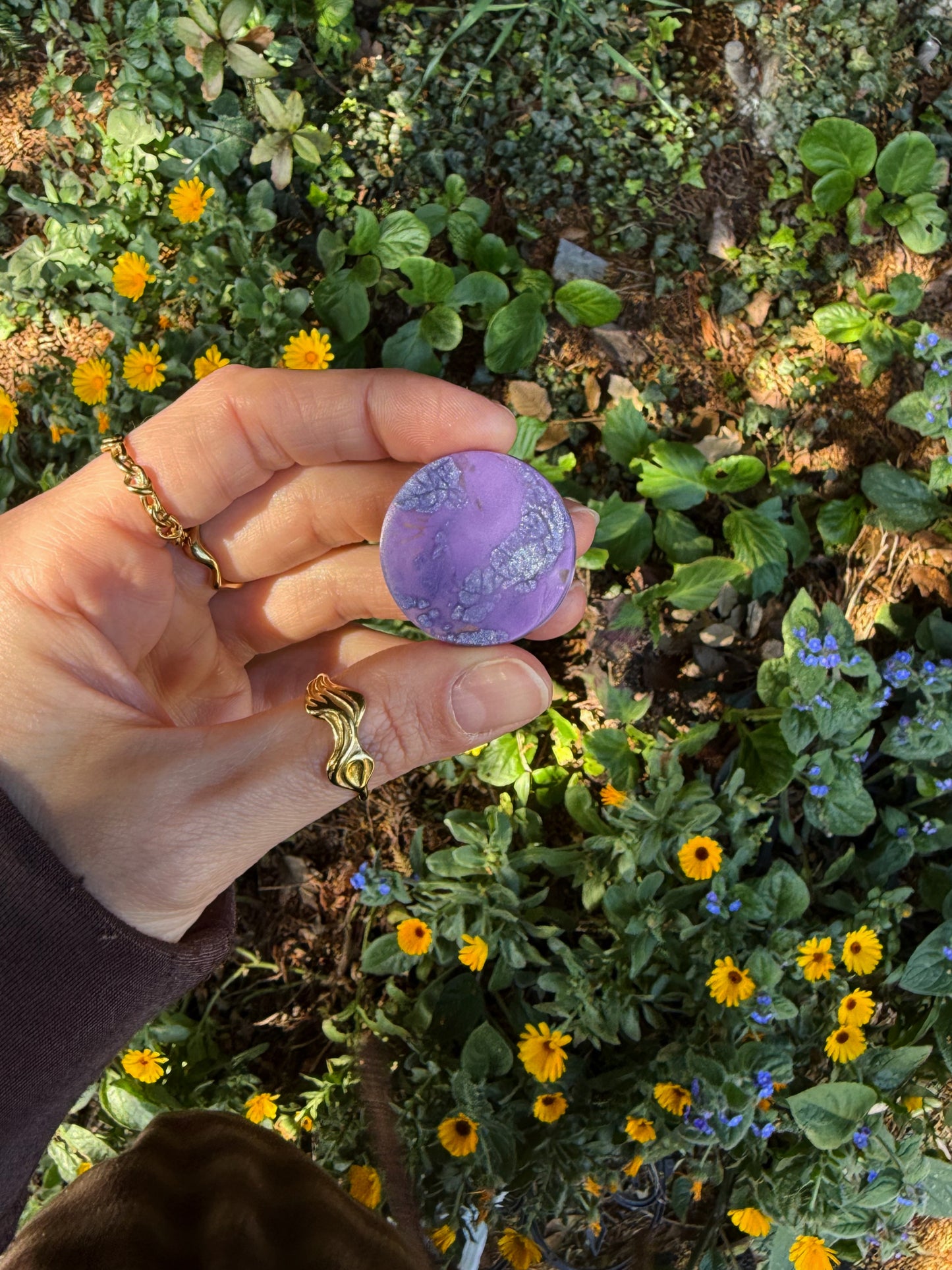 Grape tortoise micro orb