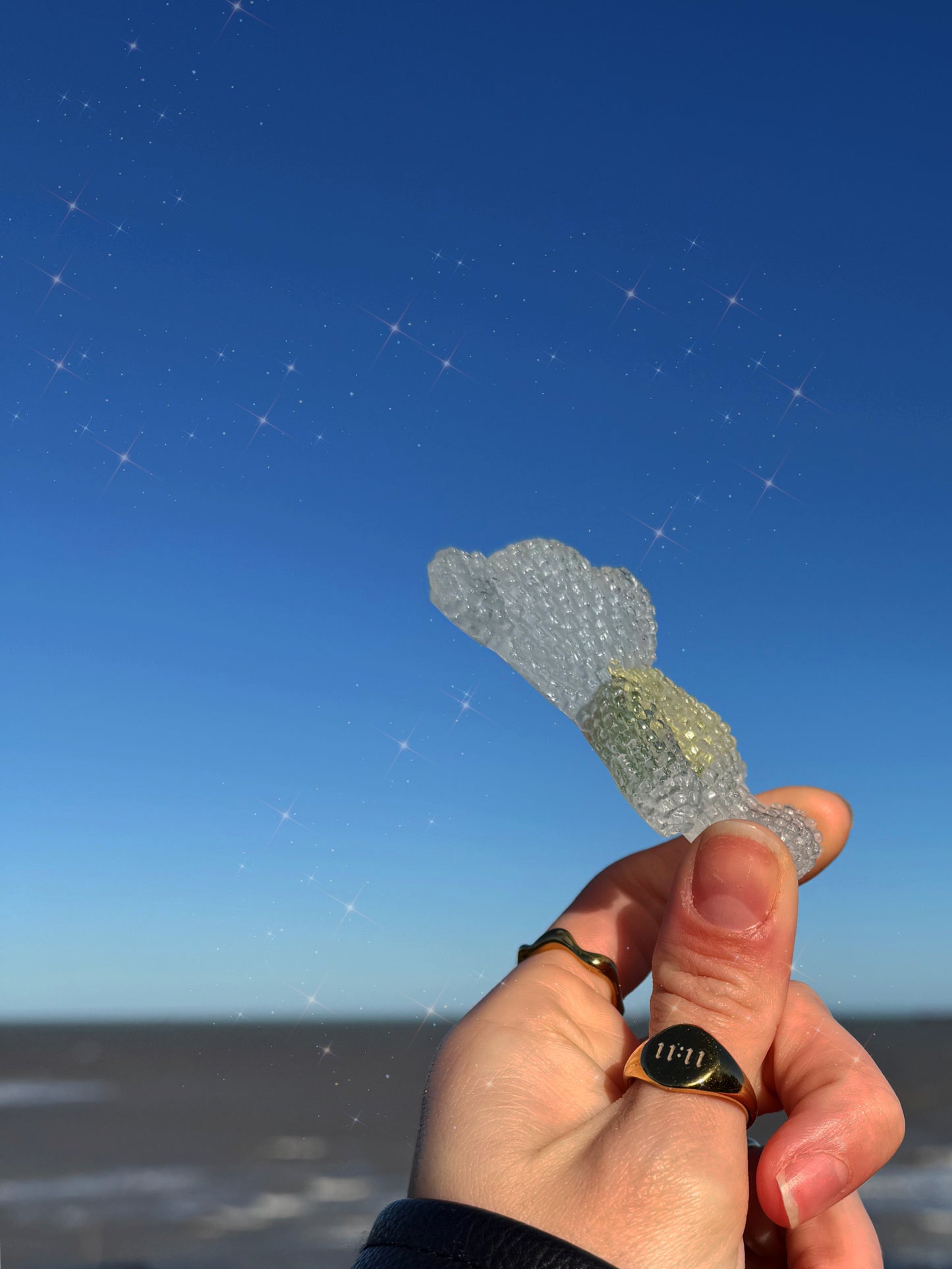 Jagger bear: frog specimen 171