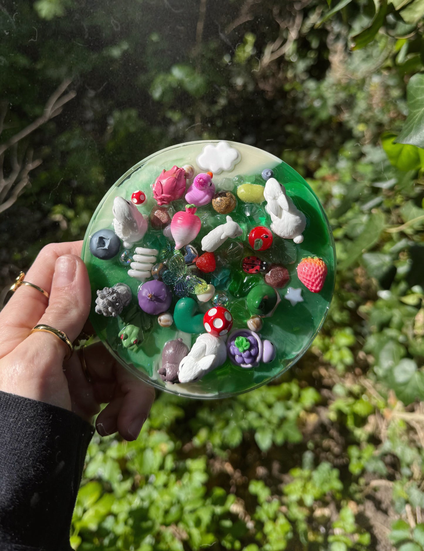 The planet tinker: the watching rabbits